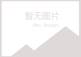 阳山县掠过能源有限公司